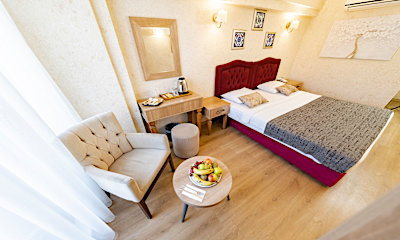 Şehir Manzaralı Standart French Oda 